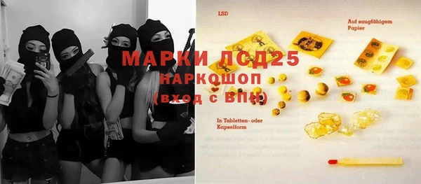 крисы Кодинск