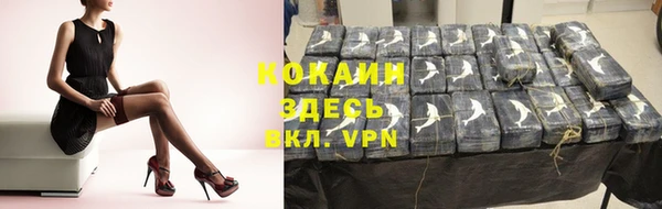 крисы Кодинск