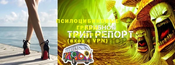 экстази Козельск