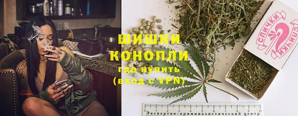 крисы Кодинск
