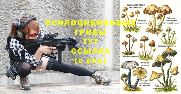 крисы Кодинск
