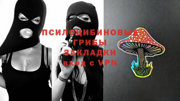 экстази Козельск